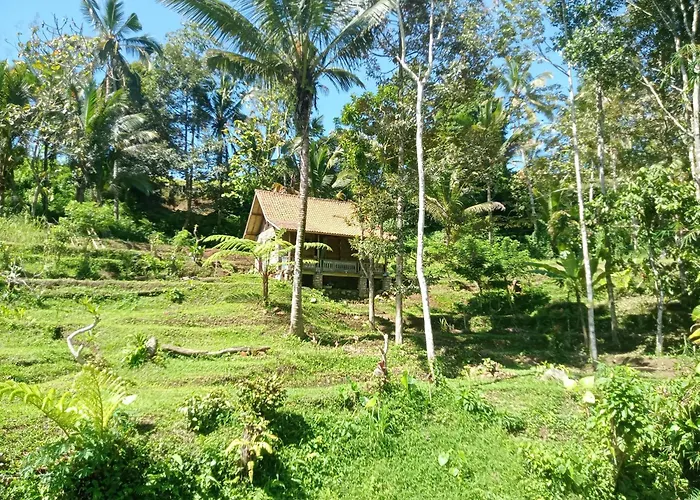 Duegoal Farm stay