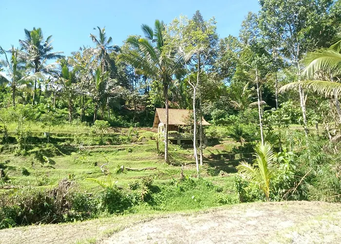 Farm stay Duegoal *
