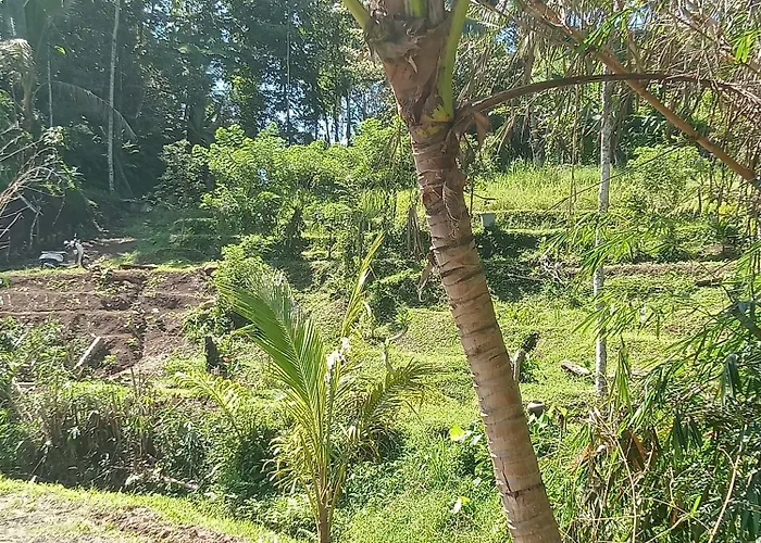 Farm stay Duegoal *