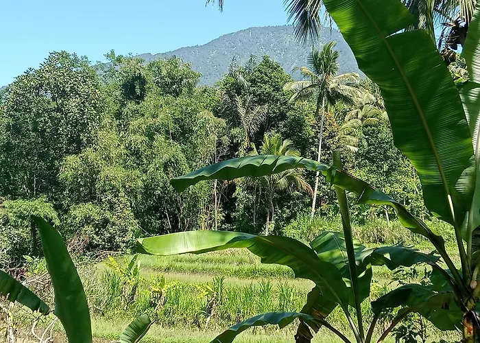 Alloggio per agriturismo Duegoal Jatiluwih