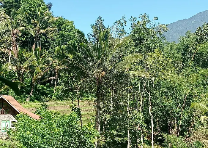 Farm stay Duegoal *