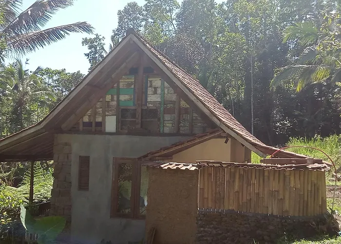Duegoal *