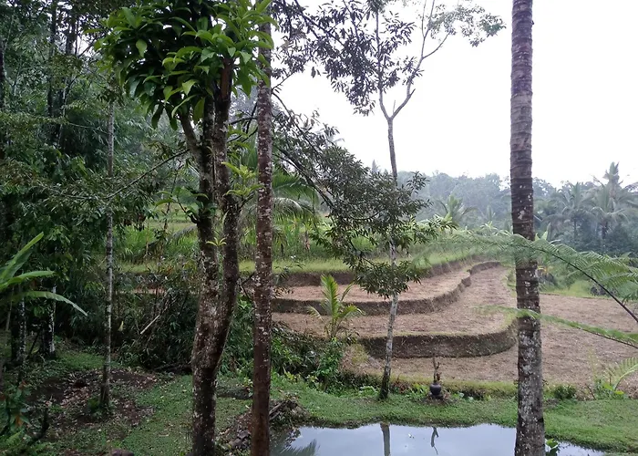 Farm stay Duegoal *