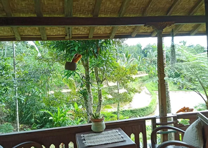 Farm stay Duegoal *